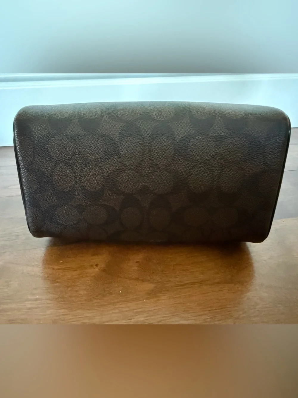 Coach canvas style